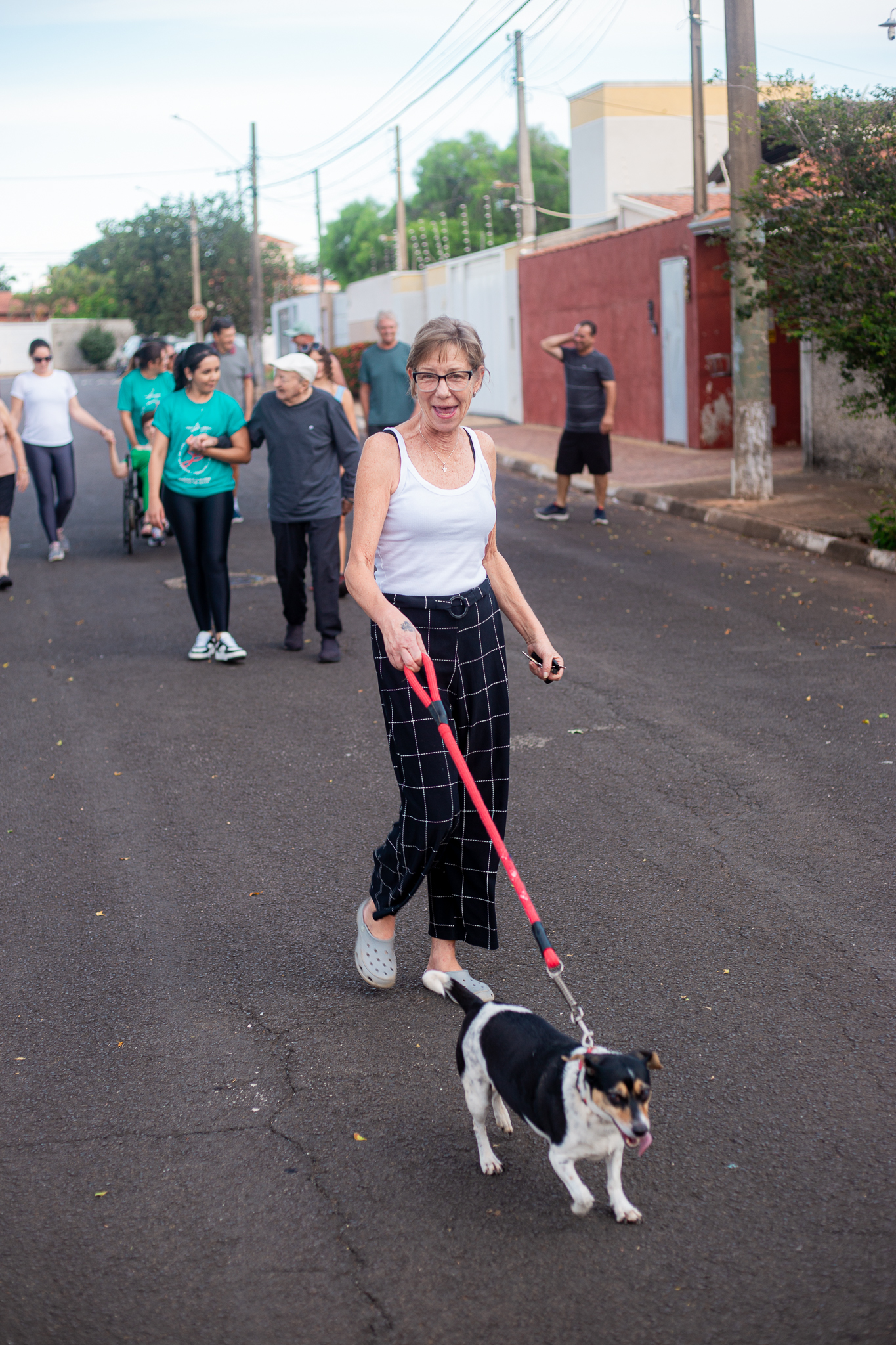 Descrição da Imagem 109